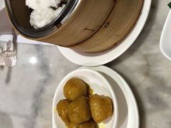 -糖朝(尖沙咀店)