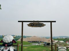 -空港花田景区