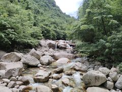 -青峰峡国家森林公园