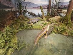 -国家自然博物馆