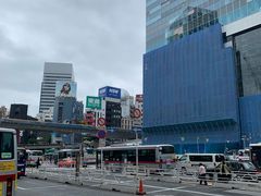 -涩谷区
