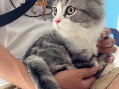 -瑞派福兴宠物医院犬猫全科·骨科·中西医结合(河东店)