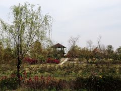 -柳鹭田园区