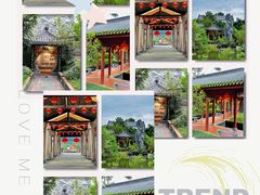 -广州神农草堂中医药博物馆