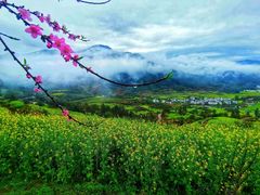 -婺源风景区