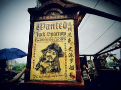 android_upload_pic-上海迪士尼度假区