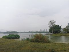 -飞来湖湿地公园