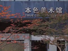 -苏州本色美术馆