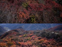 -周口店坡峰岭风景区