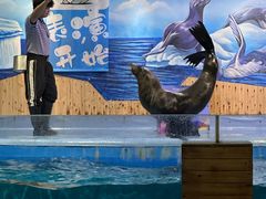 -顺德南宏海立方海洋公园