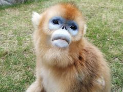 -西安秦岭野生动物园