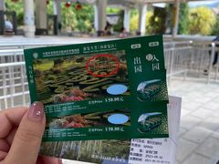 -中国科学院西双版纳热带植物园
