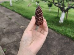 -广州莲花山旅游区