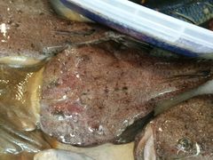 -宏源鑫海鲜餐厅·海景婚宴厅(石老人店)