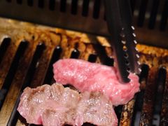 -松阪牛焼肉M(法善寺横丁店)