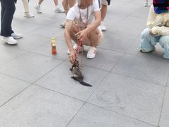 -大悦城(沈阳中街店)