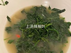 上汤辣椒叶-鼎盛私厨·新派顺德菜(上河坊店)