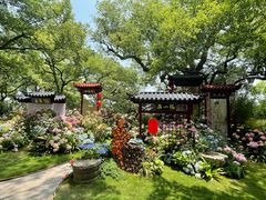 -吴山景区