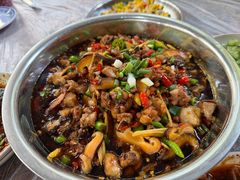 -食神又名厕所兔