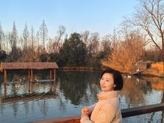 -溱湖国家湿地公园