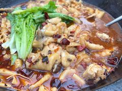 -都江堰石锅鱼