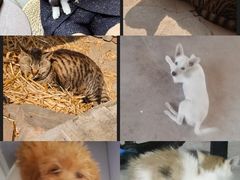 -哈尔滨北方森林动物园