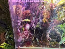 -造物庄园 萌宠纪(苏州湾歌林公园店)
