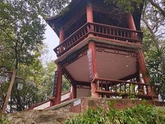 -房湖公园