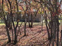 -长春世界雕塑园冰雪艺术天地