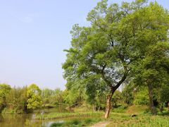 -西溪国家湿地公园