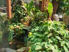 -谷咖啡·鲜花绿植花园餐厅