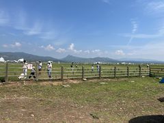 -敕勒川草原