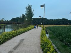 -乌村