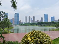 -后襄河公园