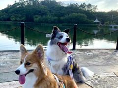 -南国桃园旅游度假区