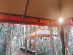 -二荆条·蜀鲜汇城市森林火锅
