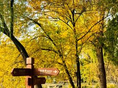 -承德避暑山庄景区