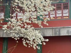 -煮叶(悠唐广场店)