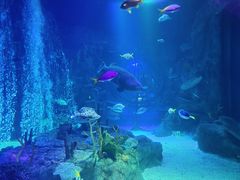 -沈阳海洋探索中心