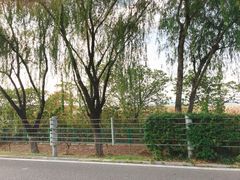 -东山风景区(洞庭东山)