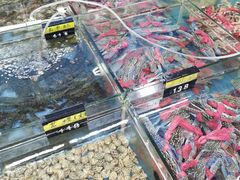 -明记海鲜大排档(巽寮湾店)