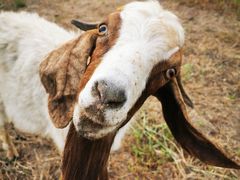 -天津东丽湖风景区