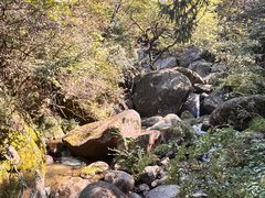 -大围山国家森林公园