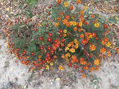 -鹫峰国家森林公园