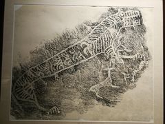 -宁夏博物馆