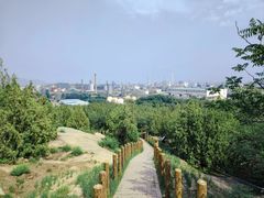 -白水寺森林公园