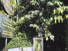 -Fern Forest Cafe