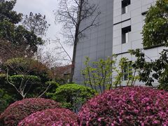 -静安公园(静安寺街道)
