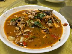 -煲来饱去冷水鱼