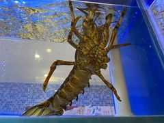 -红顶食府(滨湖九号店)